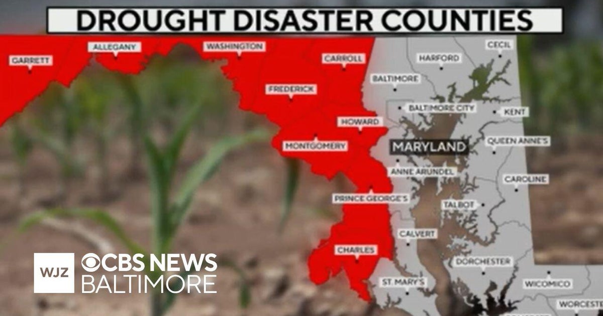 Howard, Carroll among Maryland counties under drought disaster declaration