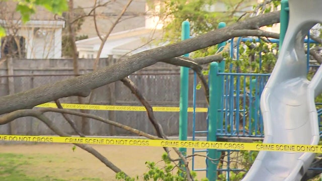 Melrose tree 