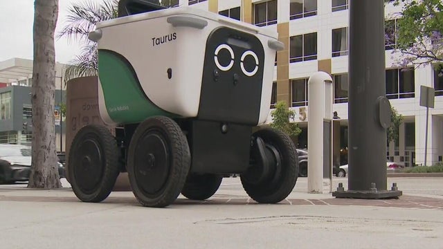 serve-delivery-robot.jpg 