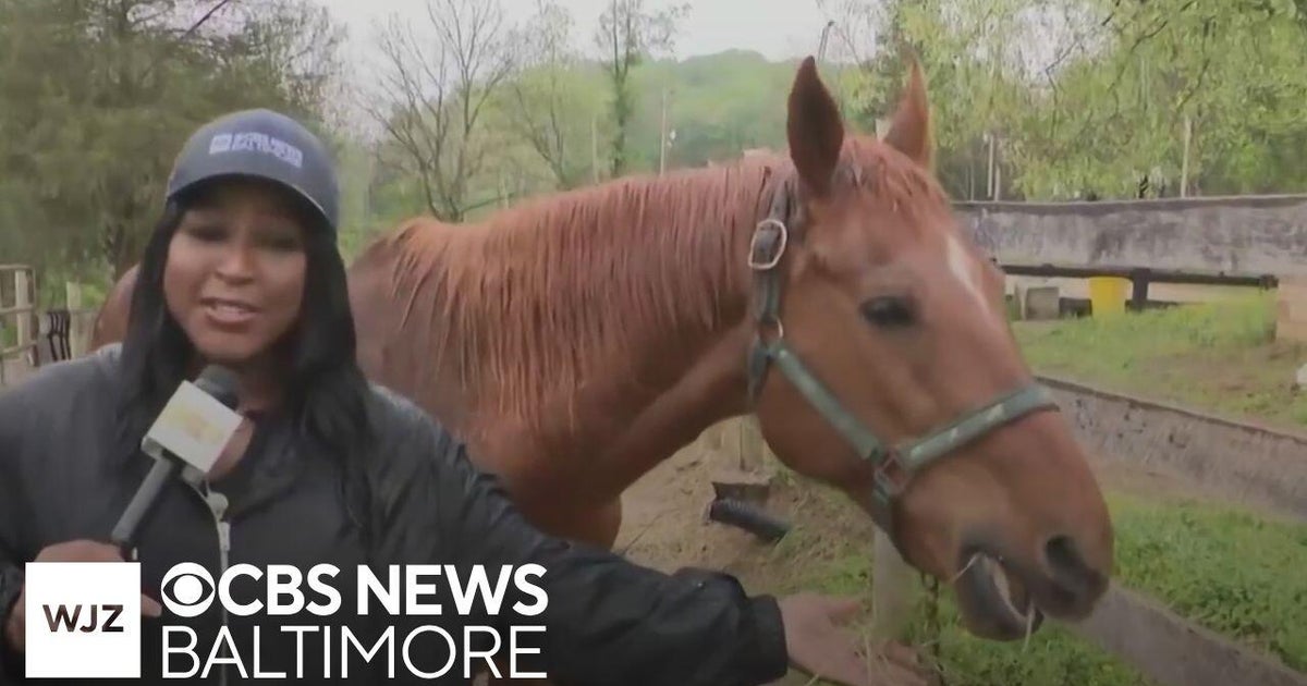 Around Town: Maryland’s City Ranch provides accessible horseback riding ...