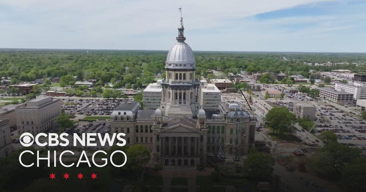 Mayor Brandon Johnson, other local leaders lobby Springfield for more ...
