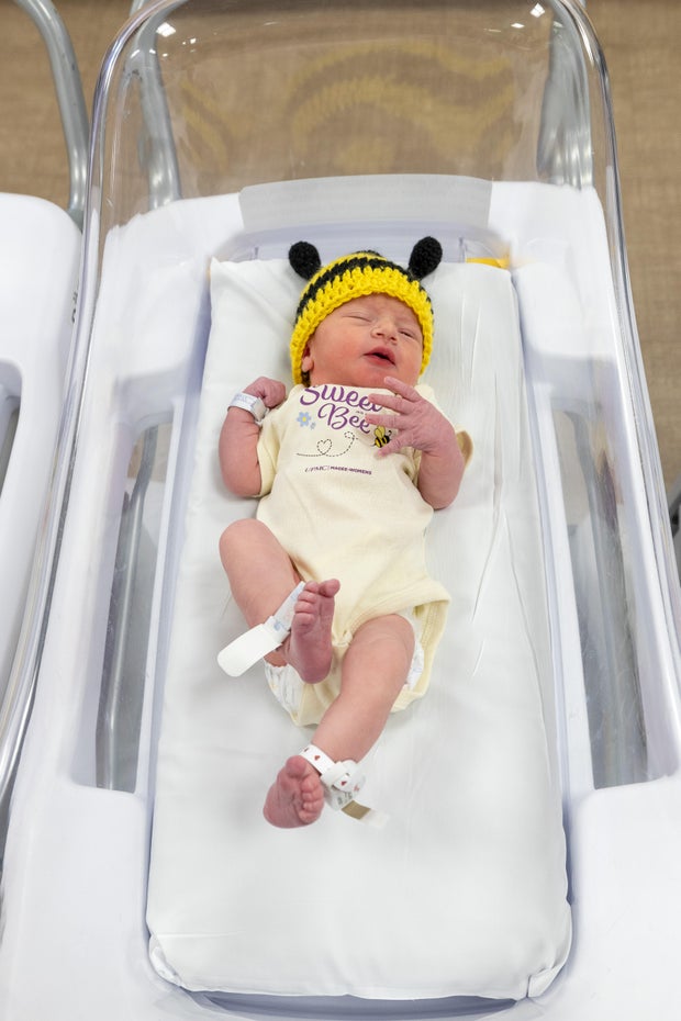 upmc-magee-womens-sweet-bees-7may2026-2426.jpg 
