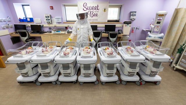 upmc-magee-womens-sweet-bees-7may2026-2361.jpg 