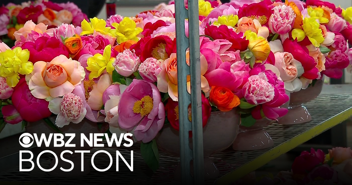 Boston florist busy making thousands of arrangements for Mother's Day