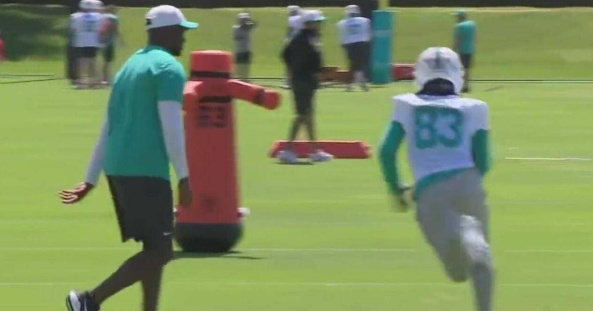 New members of the Miami Dolphins gear up