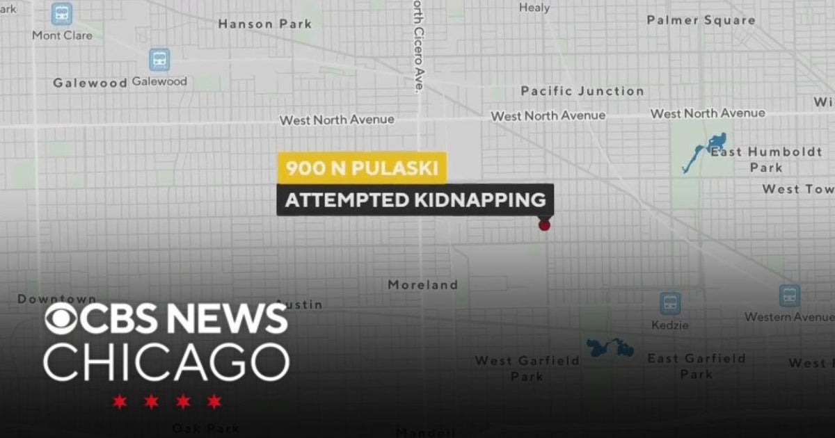 Chicago police investigating attempted kidnapping in Humboldt Park ...