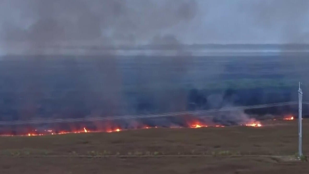 Rain in Broward helps crews fight Max Road Fire in the Everglades as it ...
