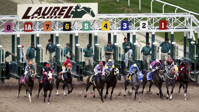 Horse Racing at Laurel Park in Maryland 