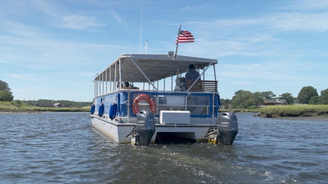 essex-1.jpg 