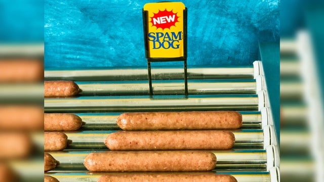 spam-dog.jpg 