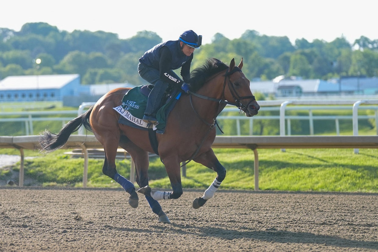 Meet the Preakness Stakes horses who ran in the 2026 race - CBS News