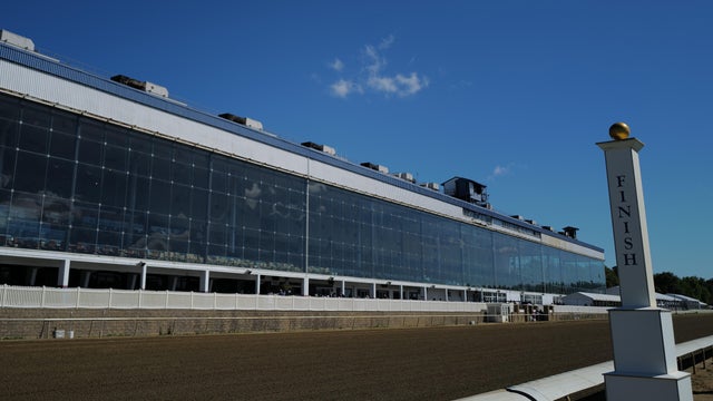 151st Preakness Stakes - Previews 