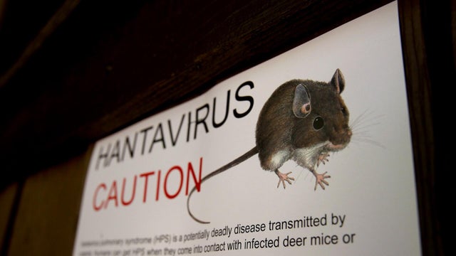 hantavirussign.jpg 