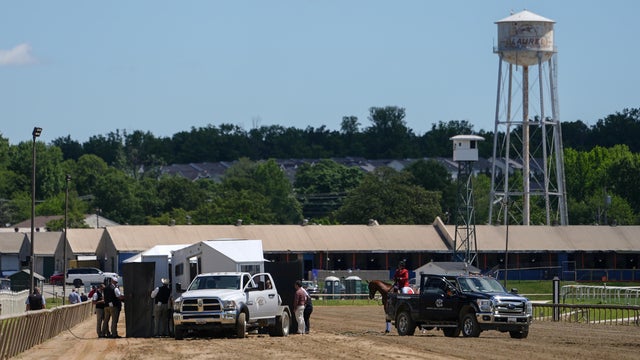 Horse Collapses at Maryland's Laurel Park 