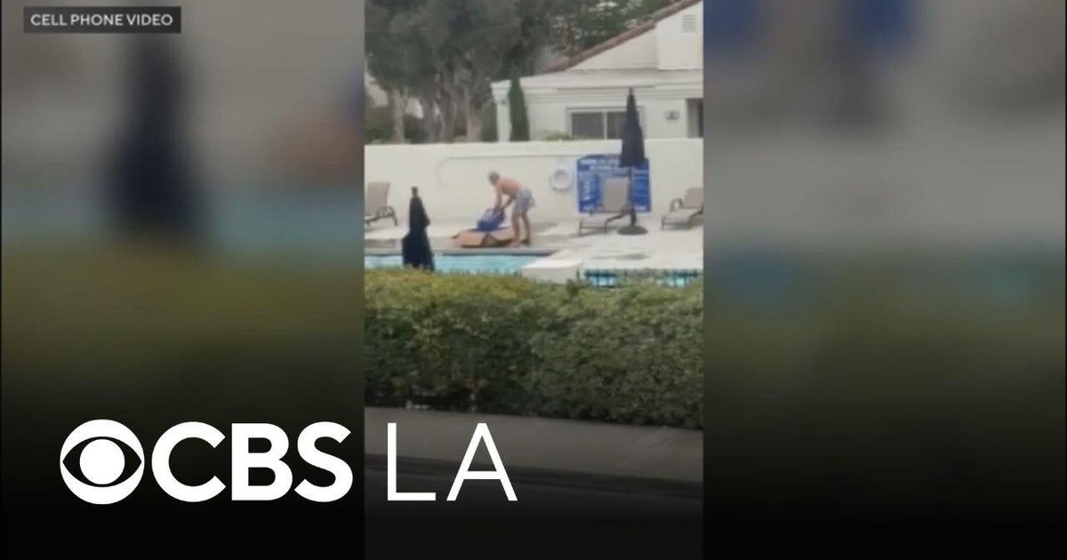 Irvine man accused of slamming trash can on newly-born ducklings ...