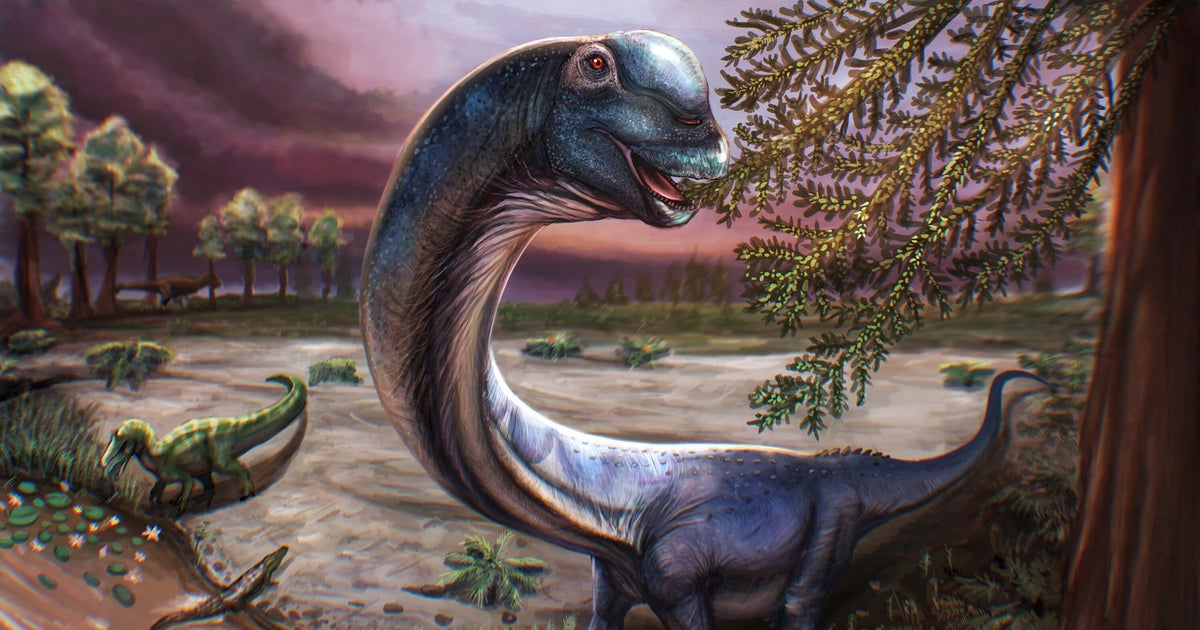 New dinosaur weighing as much as 9 elephants identified by scientists