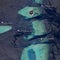 Rescue diver dies amid search for remains of 4 who perished in Maldives accident