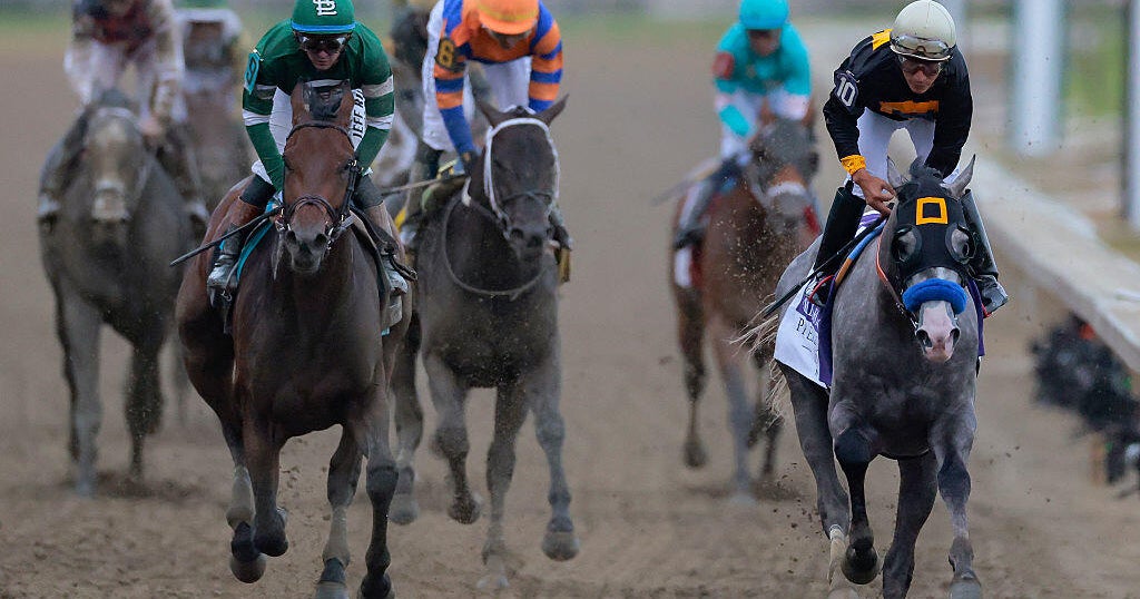 Meet the horses who ran in the Preakness Stakes