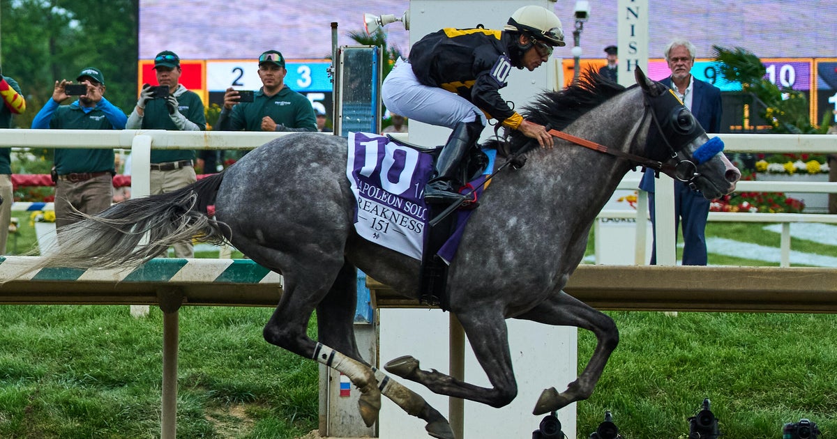 Napoleon Solo wins Preakness Stakes at Laurel Park