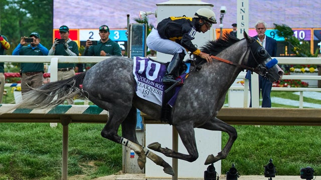 151st Preakness Stakes 