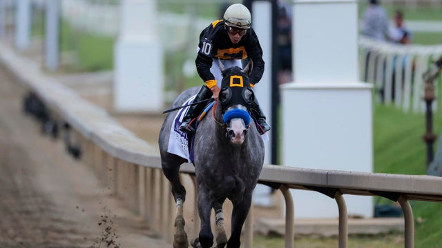 151st Preakness Stakes 