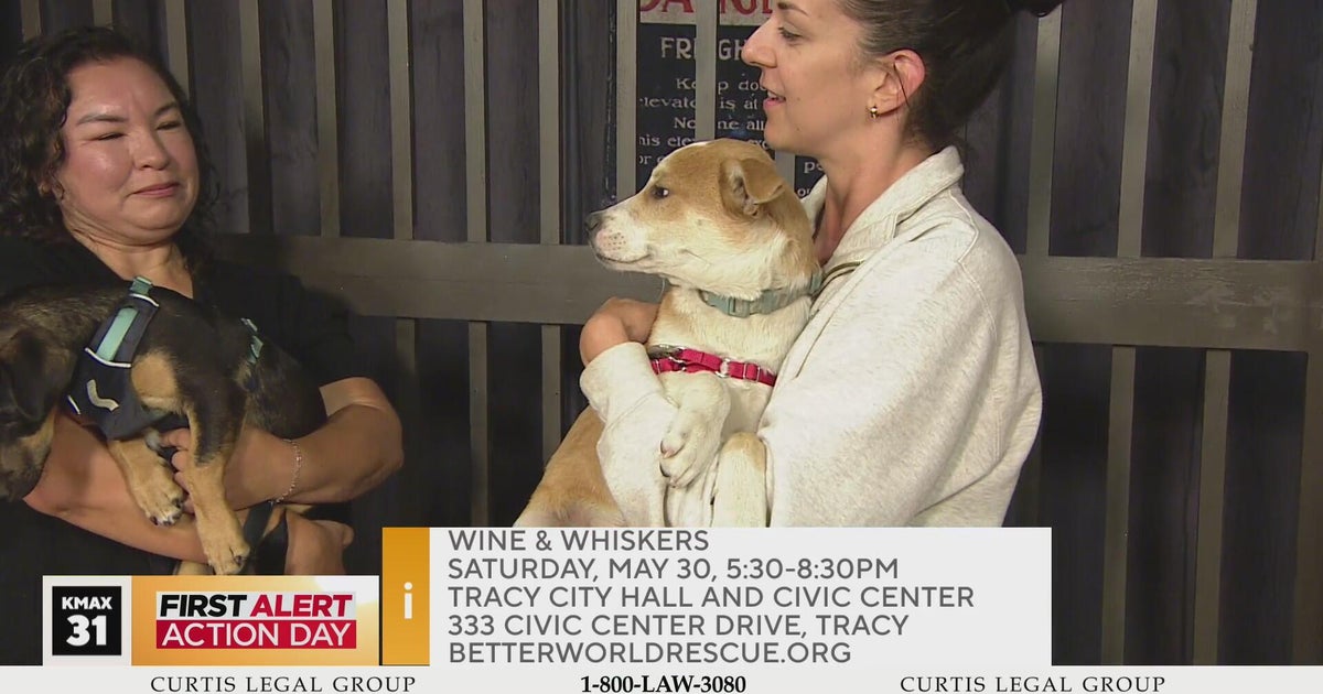 Better World Rescue, 10am - Good Day Sacramento