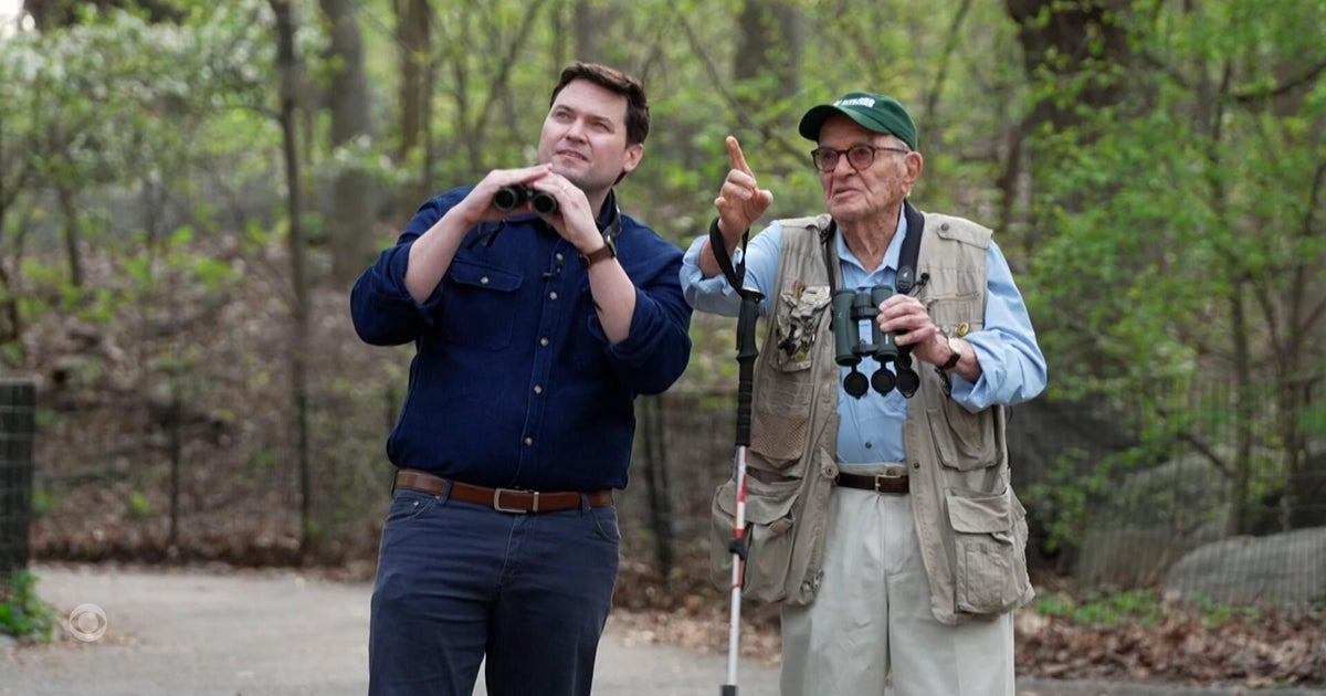 Birding may hold key to keeping your brain sharp in old age, new study suggests
