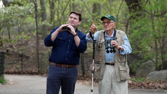 birding.jpg 