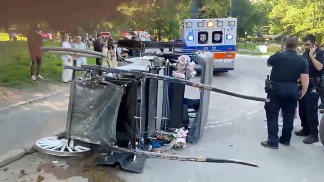 central-park-horse-carriage-overturned-citizen-hi-res-still-16-52-0214.jpg 