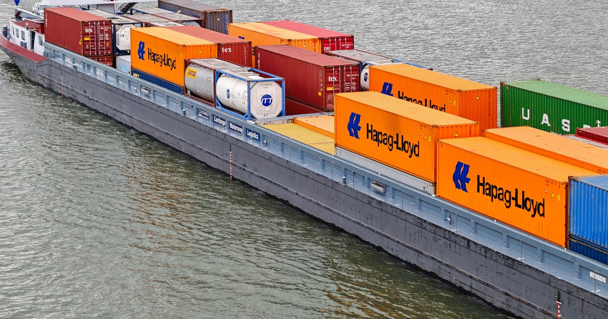 Chinese companies probed over cuts to shipping container production before pandemic