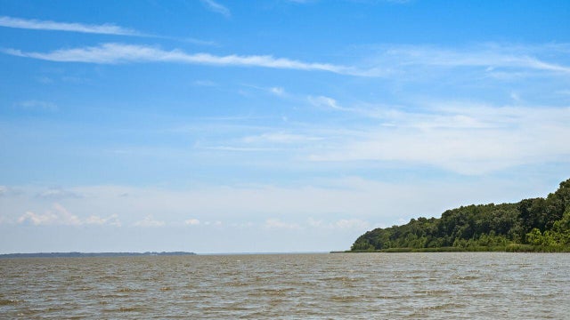 Gunpowder Falls State Park Hammerman Area towards the Chesapeake Bay 