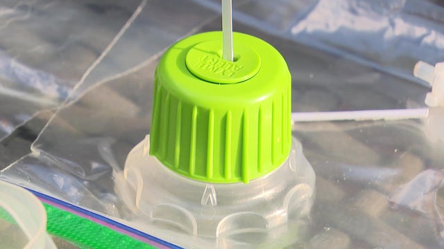 Lyme disease testing 