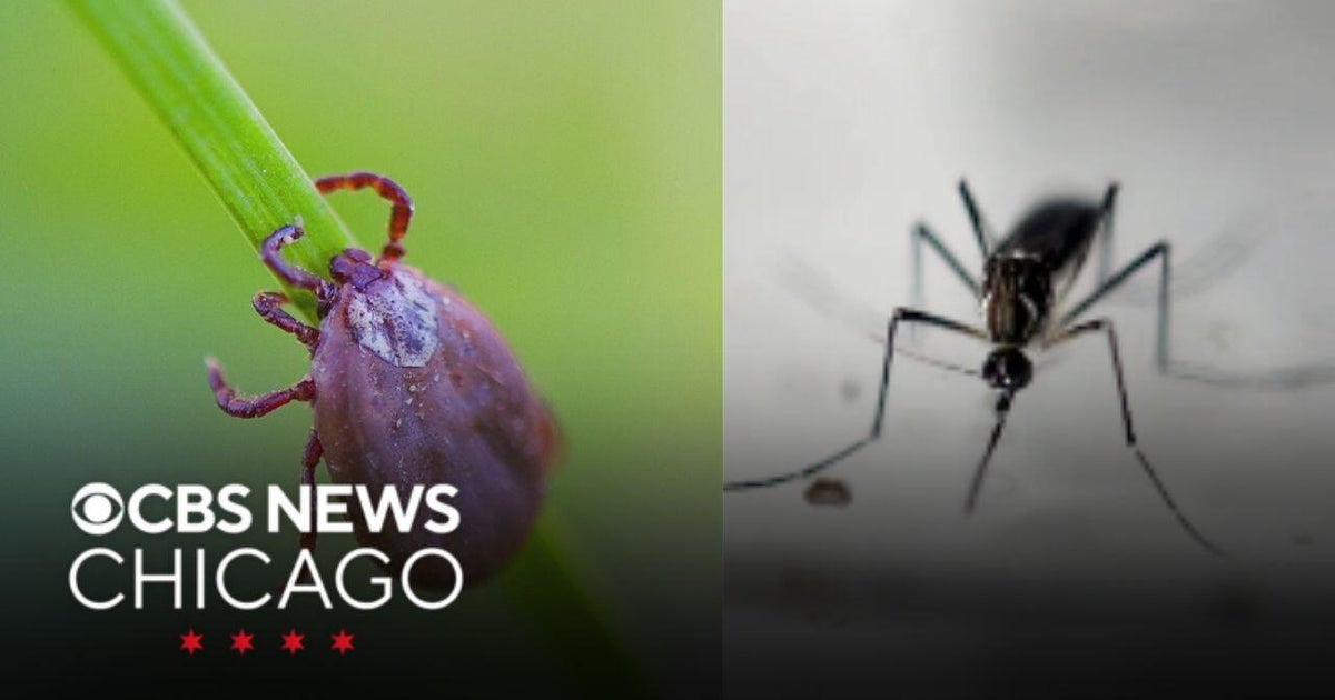 Kane County health officials remind public to protect themselves from mosquitoes, ticks