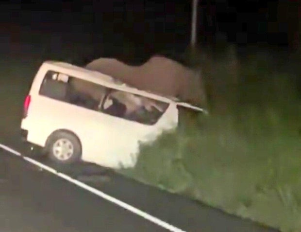 Minibus crashes into elephant, killing 3 people in Uganda national park