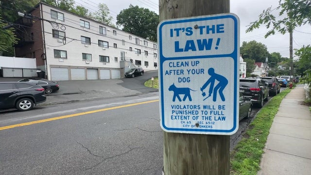 yonkers-dog-waste-ta-tease-8-hi-res-still.jpg 