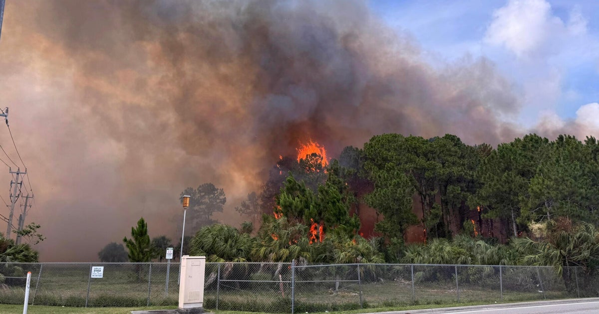 Wildfire near Miami Executive Airport contained, but smoke still ...