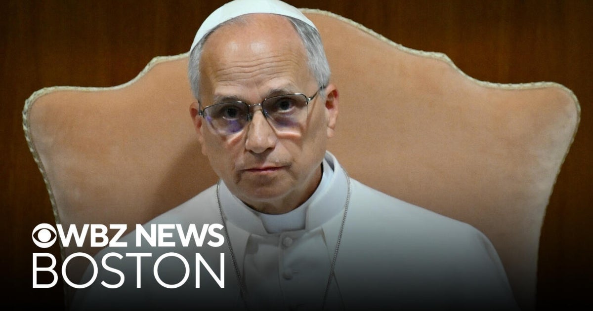 Pope Leo delivers stern warning about artificial intelligence - CBS Boston