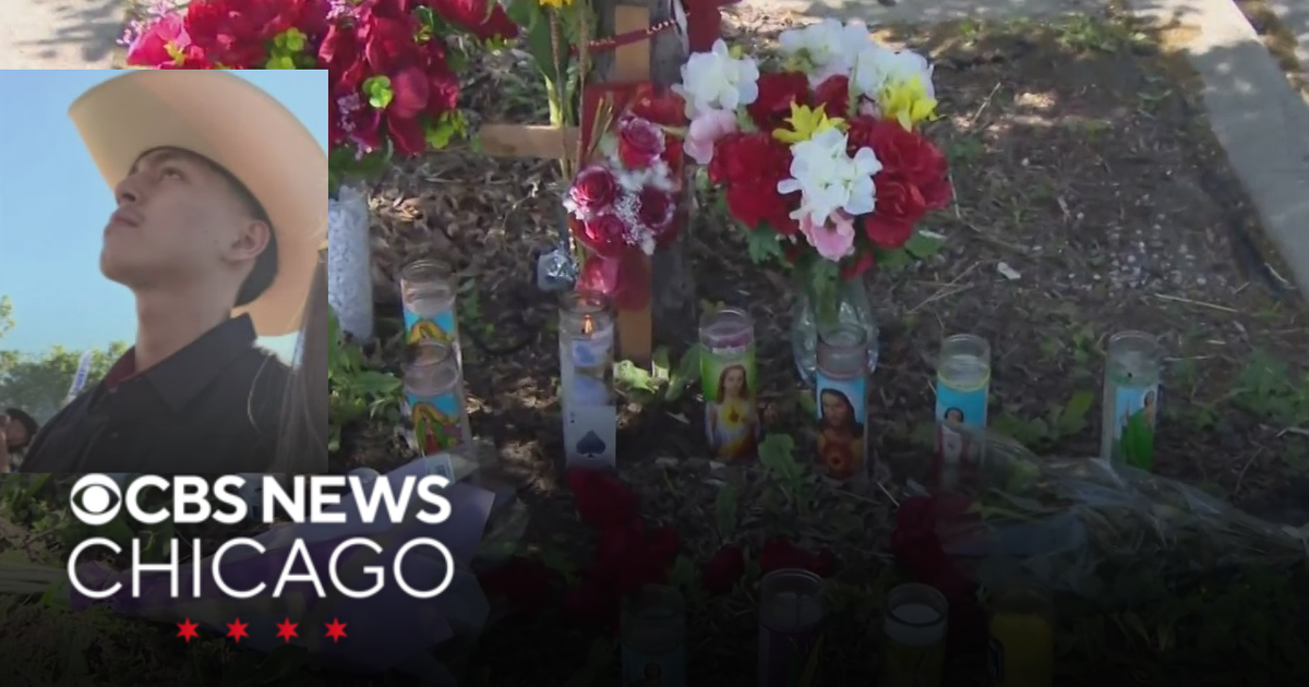 Memorial grows for teen killed in triple shooting in Back of the Yards ...