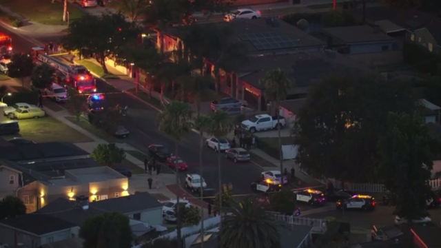 Crime scene police lights 