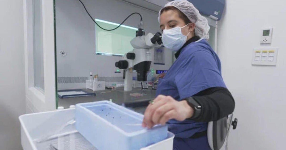 The high cost of egg freezing