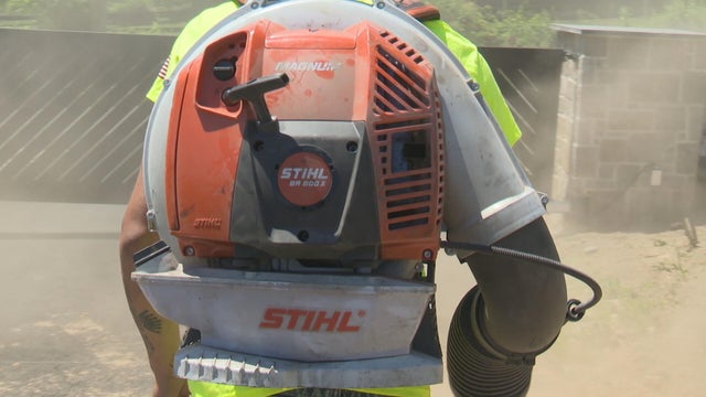 leaf-blower-ban.jpg 
