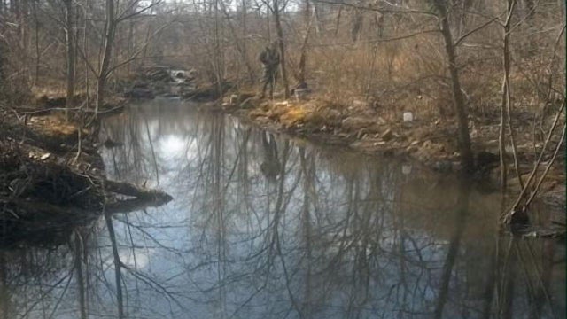 Cypress Creek, Anne Arundel County Maryland 