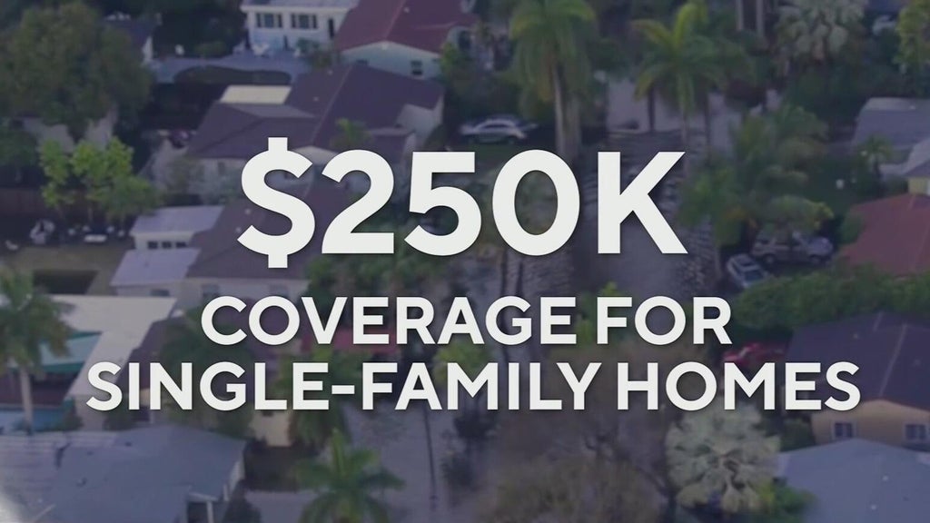 Flood insurance in Florida: Why experts say waiting until a storm is coming could cost you