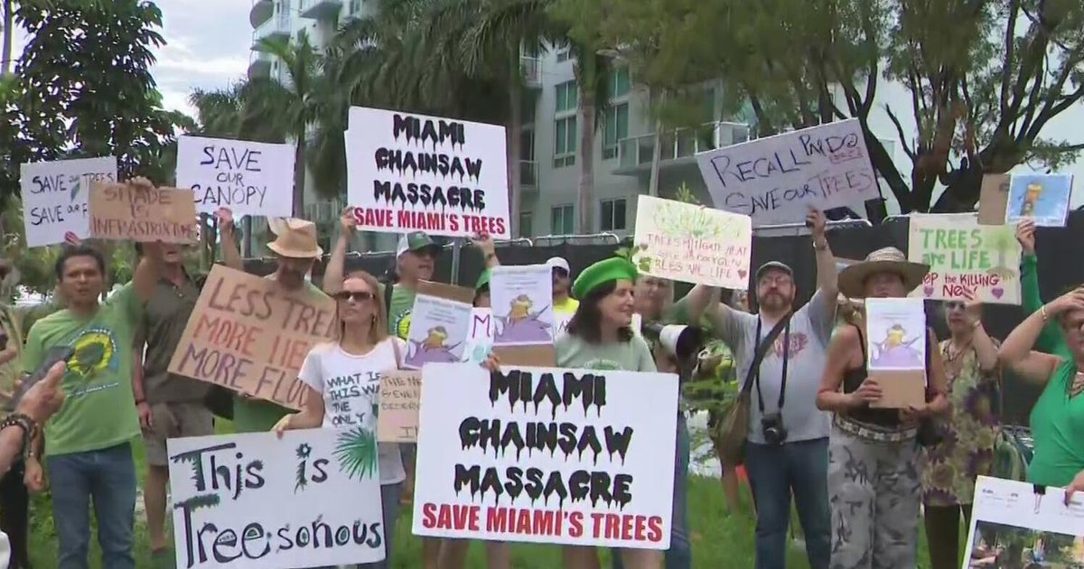 Miami residents rally in effort to prevent developers from removing city trees