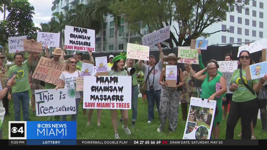 Miami residents rally to save city's tree canopy from development