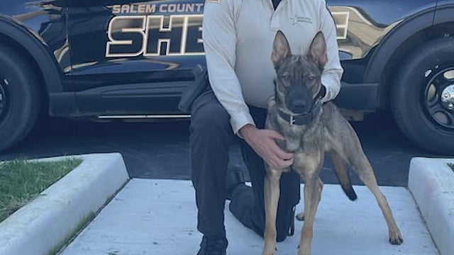 Salem County, New Jersey residents outraged after two K9 officers suddenly die with no explanation 