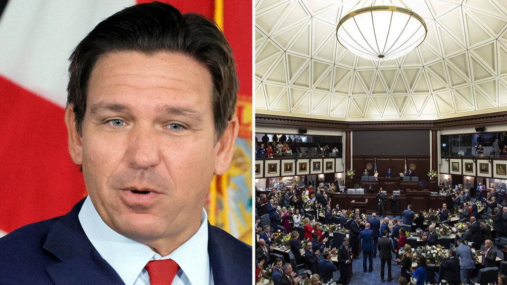 Florida property tax cut plan backed by DeSantis heads to November ballot after legislative approval