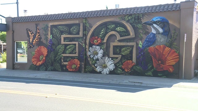 for-web-elk-grove-murals.jpg 