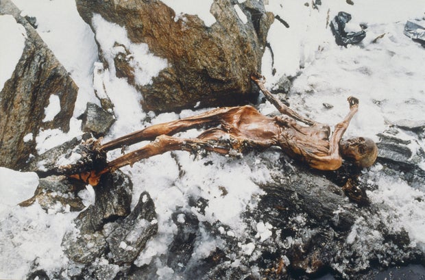 Discovery of the Otzi mummy 