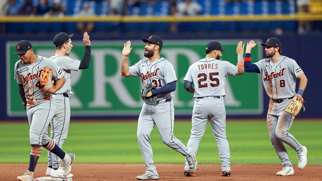 Tigers Rays Baseball 